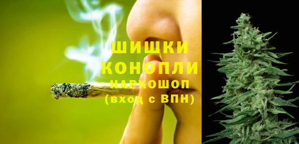 стафф Аркадак