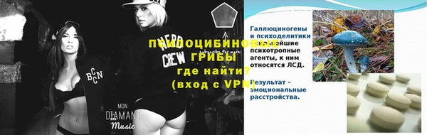 стафф Аркадак