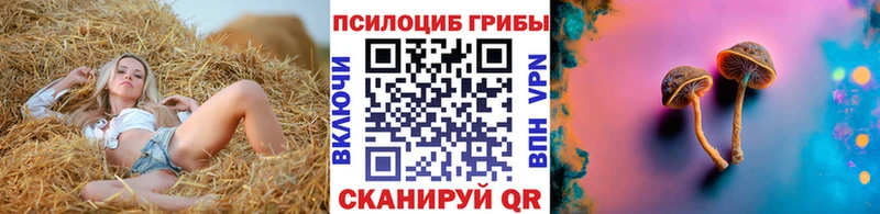 купить закладку  Пудож  Галлюциногенные грибы Psilocybine cubensis 