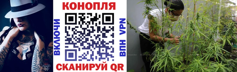 Канабис планчик  Пудож 